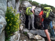 SENTIERO DEI FIORI CLAUDIO BRISSONI, percorso con giro ad anello, partendo dal Rif. Capanna 2000 il 1 agosto 2012  - FOTOGALLERY